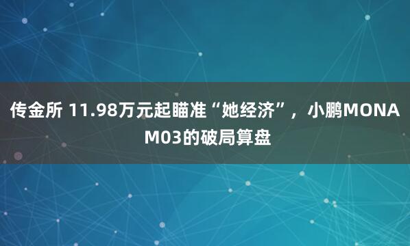 传金所 11.98万元起瞄准“她经济”，小鹏MONA M03的破局算盘
